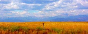 Colorado High Plains